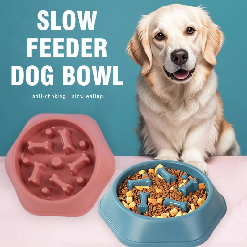 Slow Feed Dog Bowl – Anti-Choking, Non-Slip Design