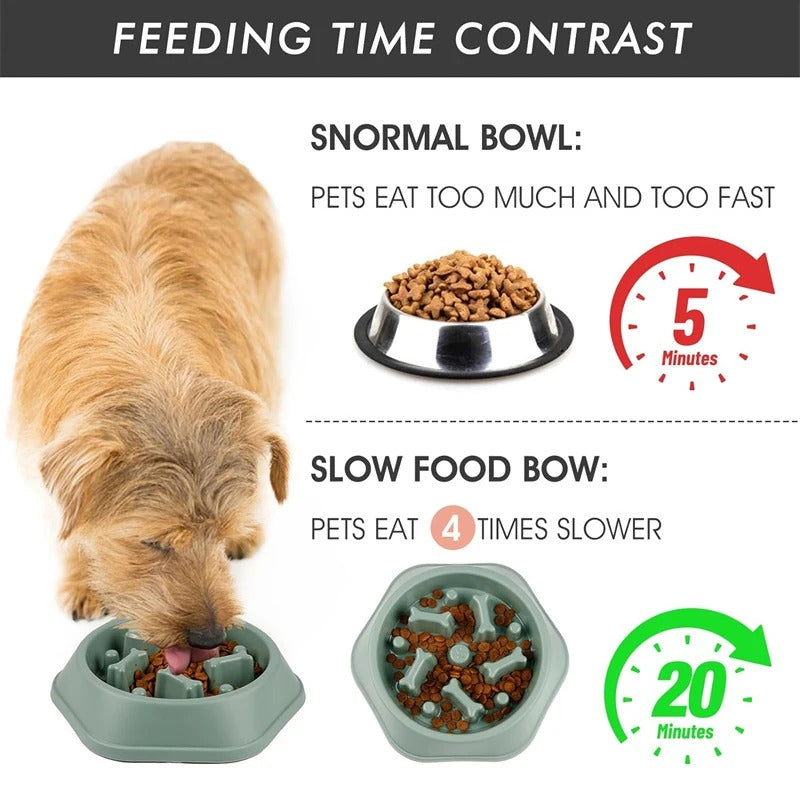 Slow Feed Dog Bowl – Anti-Choking, Non-Slip Design